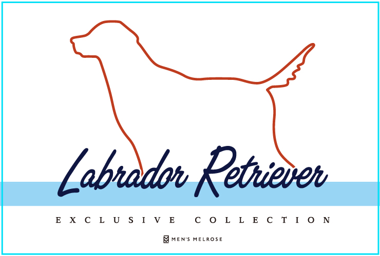 Labrador Retriever Collaboration Items発売中